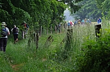 libin0543.JPG