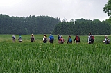 libin0550.JPG