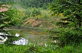 libin0580.JPG