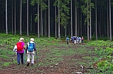 libin0587.JPG
