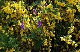libin0605.JPG