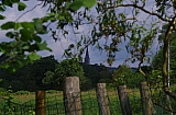 libin0610.JPG