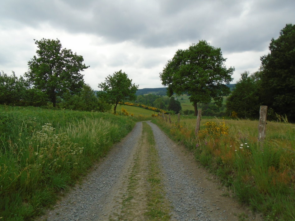 libin07560_35108589575.jpg