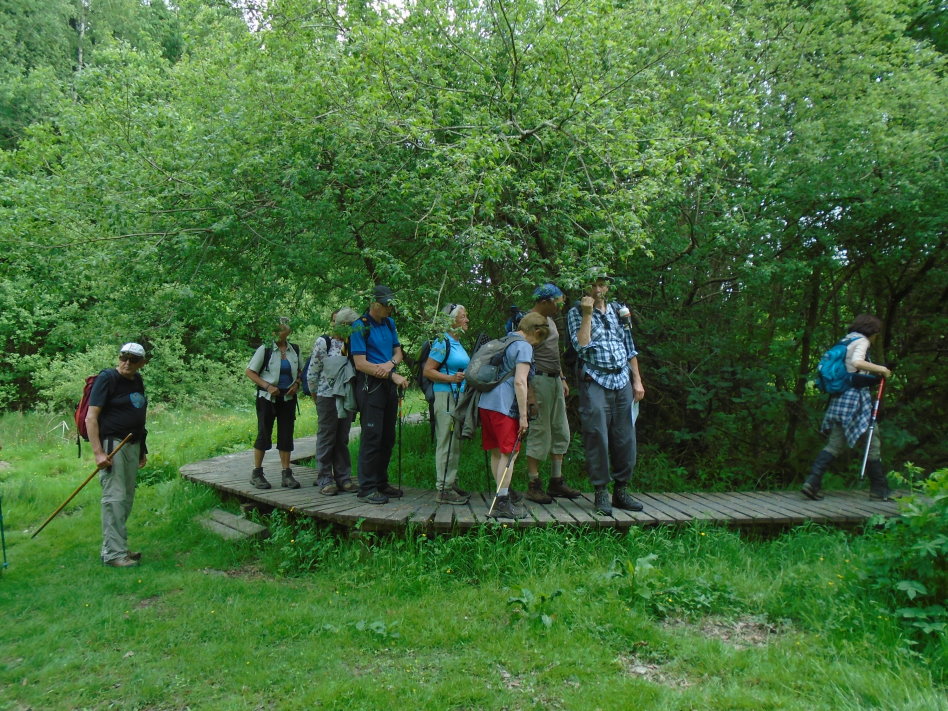 libin07580_34264384154.jpg