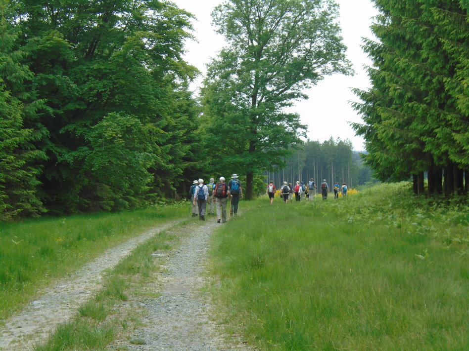 libin07588_34977759971.jpg