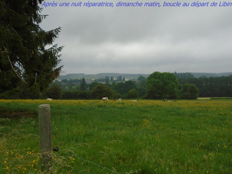 libin07597_35108474425.jpg