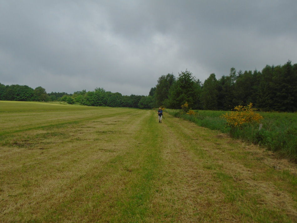 libin07604_34721646080.jpg