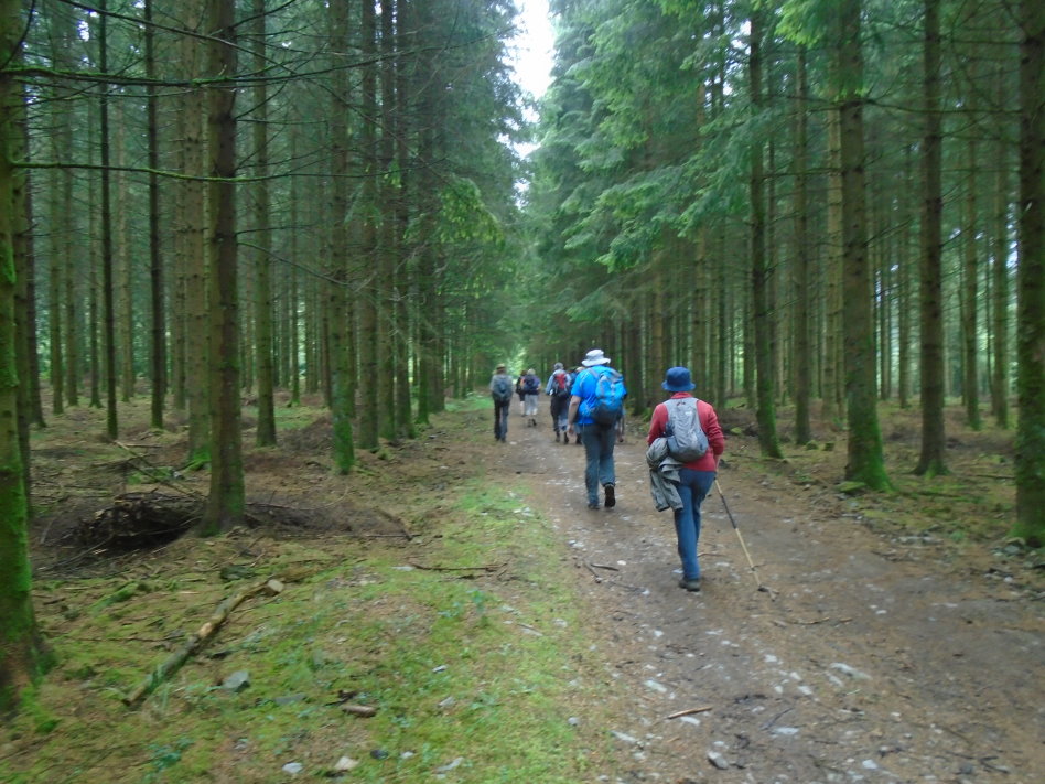 libin07606_34721638540.jpg
