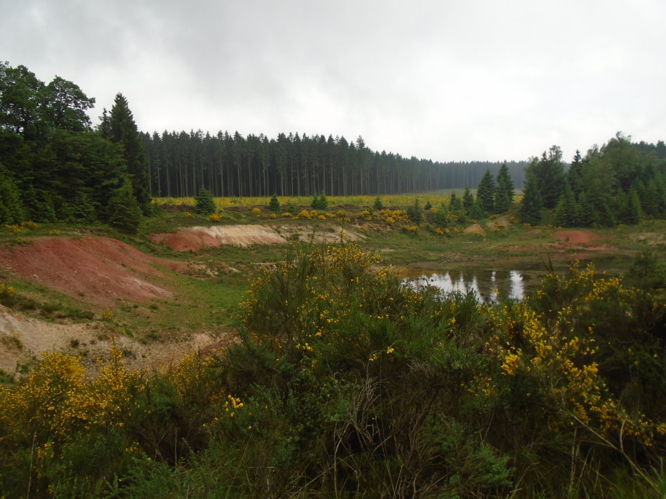 libin07611_34977687001.jpg