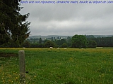 libin07597_35108474425.jpg