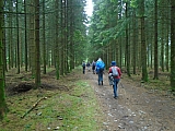 libin07606_34721638540.jpg