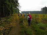 libin07616_34721595650.jpg