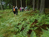 libin07621_34721560040.jpg