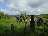 libin07625_35068504606.jpg