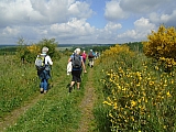 libin07627_34943686472.jpg
