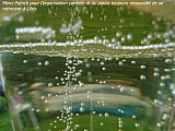 libin07638_34977581381.jpg