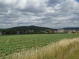 flawinne7762_34743321203.jpg