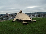 namur07901_35123690954.jpg