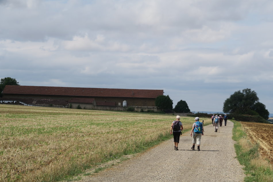 metz3345.JPG