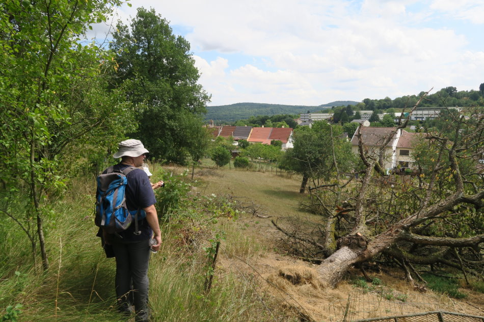 metz3392.JPG