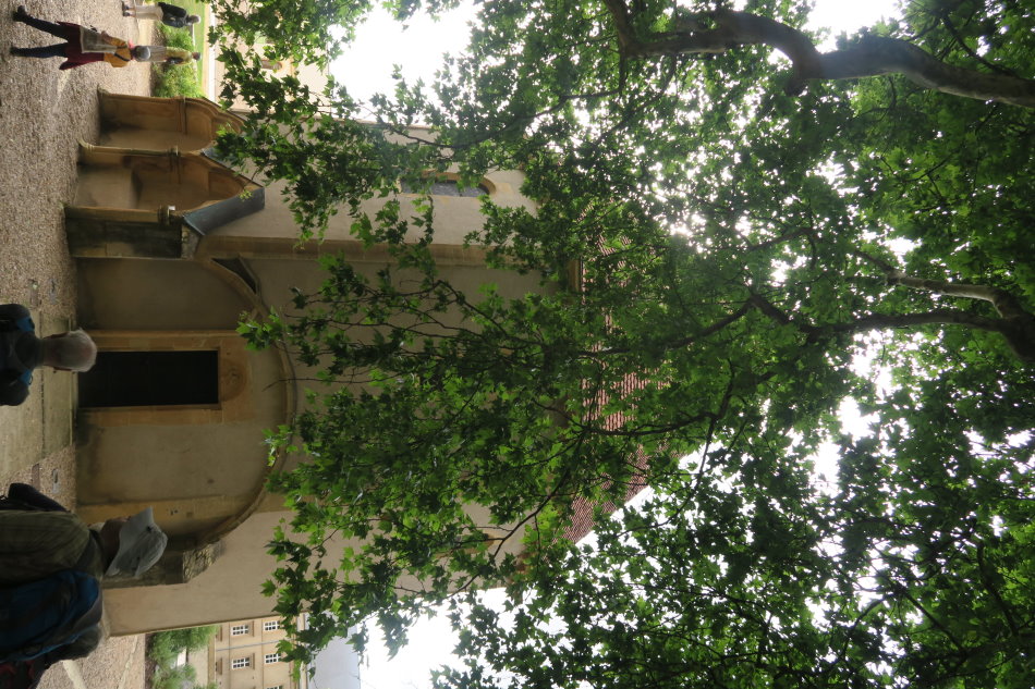 metz3402.JPG