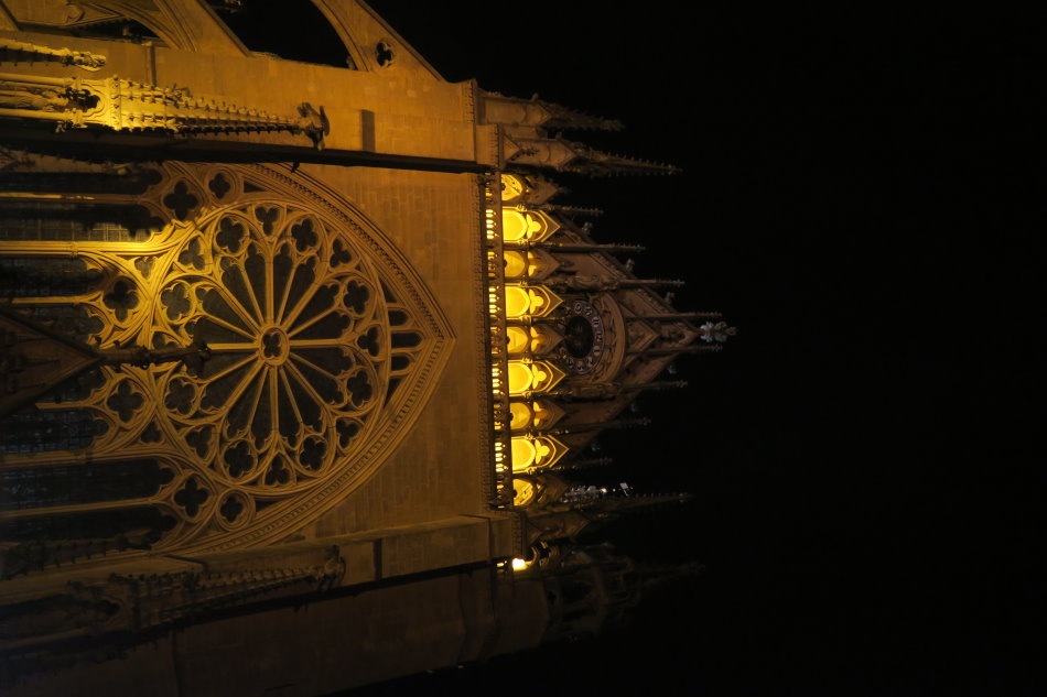 metz3165.JPG