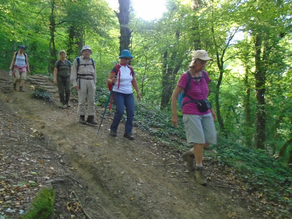 metz07977_35770627820.jpg