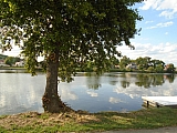 metz07986_36028663071.jpg