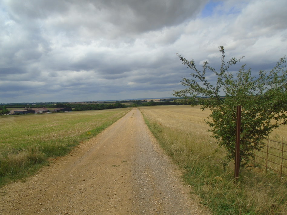 metz08045_36120561766.jpg