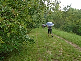 metz08019_35354201043.jpg