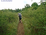 metz08023_35770258900.jpg