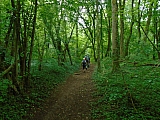 metz08030_36120605856.jpg