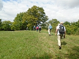 metz08035_35354162023.jpg