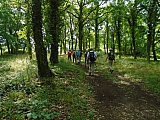 metz08037_35322239294.jpg