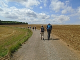 metz08043_36120566246.jpg