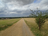 metz08045_36120561766.jpg