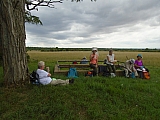 metz08048_35354109053.jpg