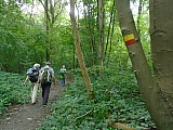 kortenberg8245_36421983241.jpg