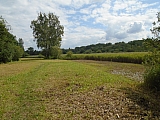 kortenberg8253_36163355590.jpg