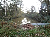 schoten012.jpg