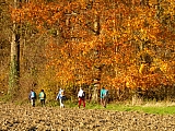 Geraardsbergen à Zandbergen