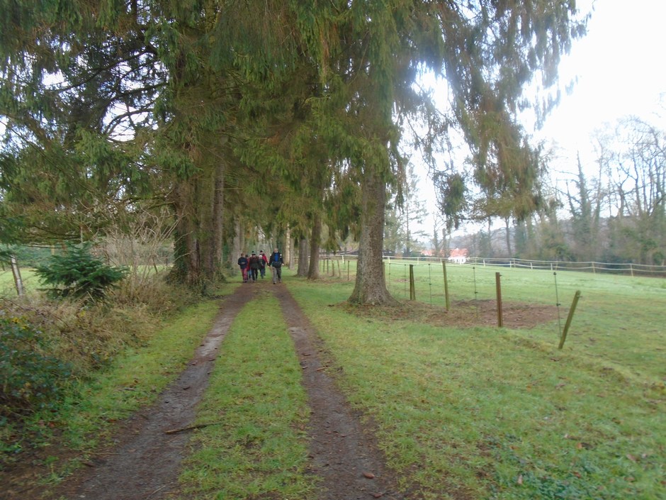 genval8831_24269214057.jpg
