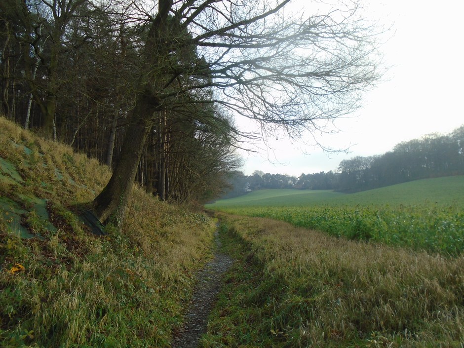 genval8838_24269188527.jpg