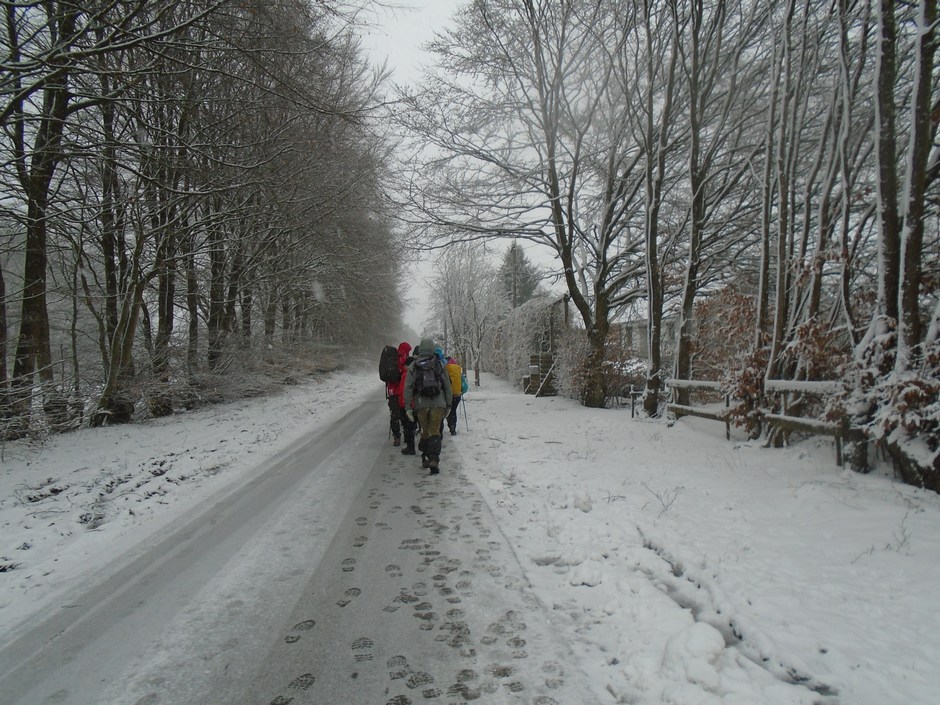 fagnes08923_24961854587.jpg