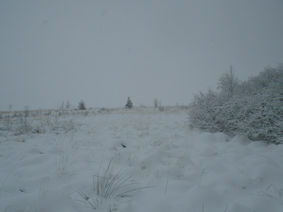 fagnes08941_39831735601.jpg