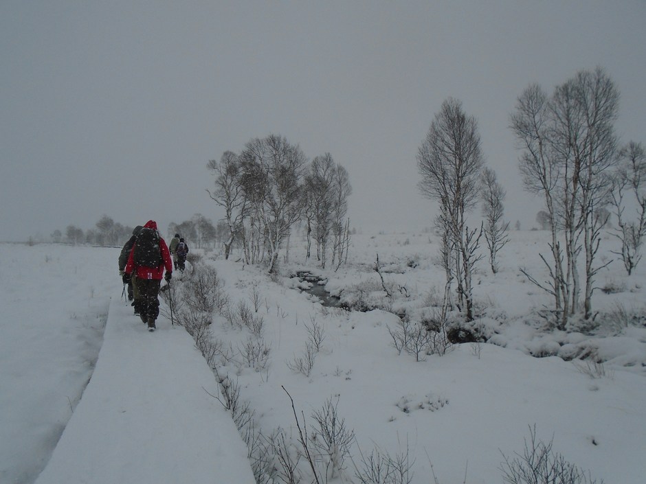 fagnes08946_39831718791.jpg