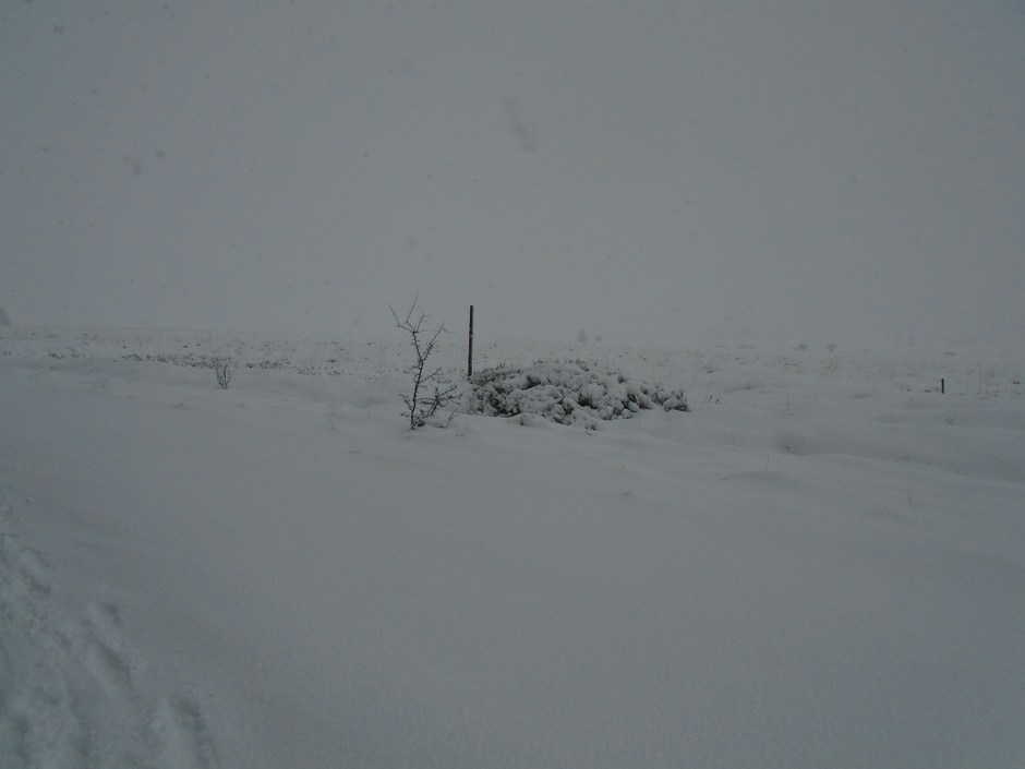 fagnes08957_28053257049.jpg