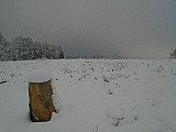 fagnes8981_39831610101.jpg