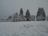 fagnes8993_39122237744.jpg