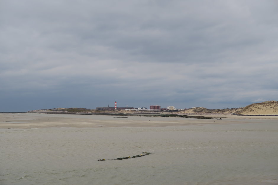 berck7696.JPG